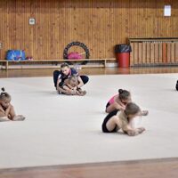 Resize of CSC_0600